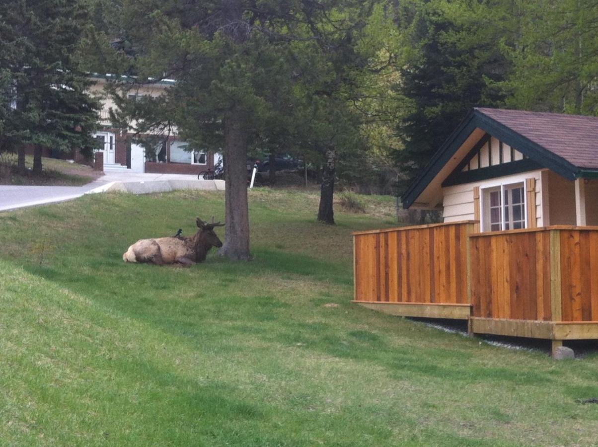 Hillside Bungalows Banff Exterior foto